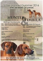 Timbila & Hunter